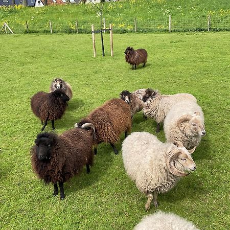 Vakantiewoning Le Garaazje 'S-Gravendeel Buitenkant foto
