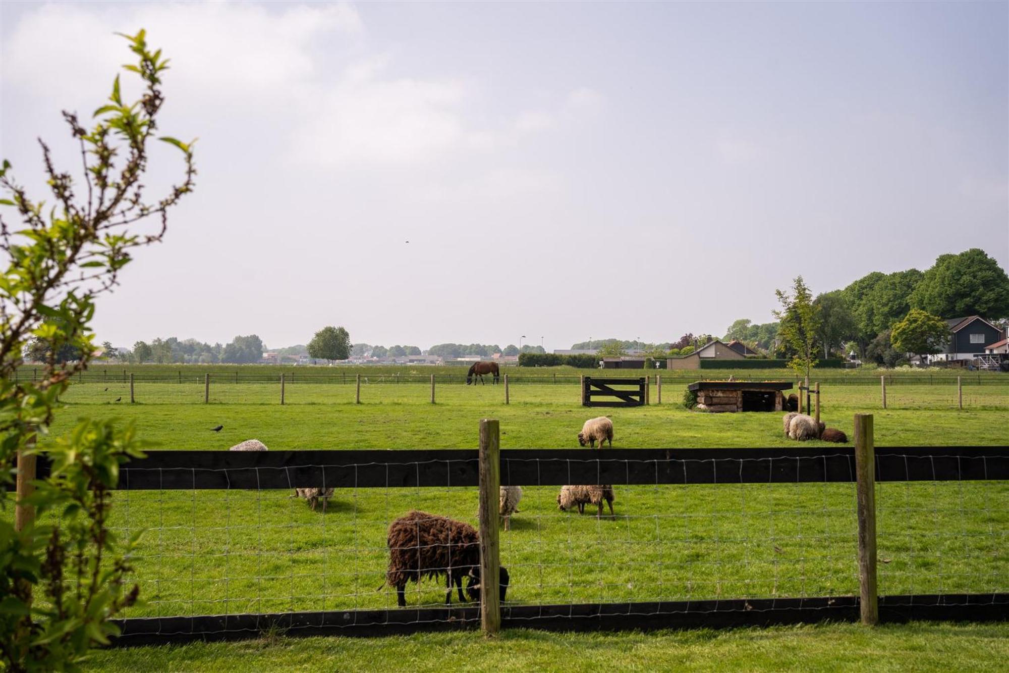 Vakantiewoning Le Garaazje 'S-Gravendeel Buitenkant foto