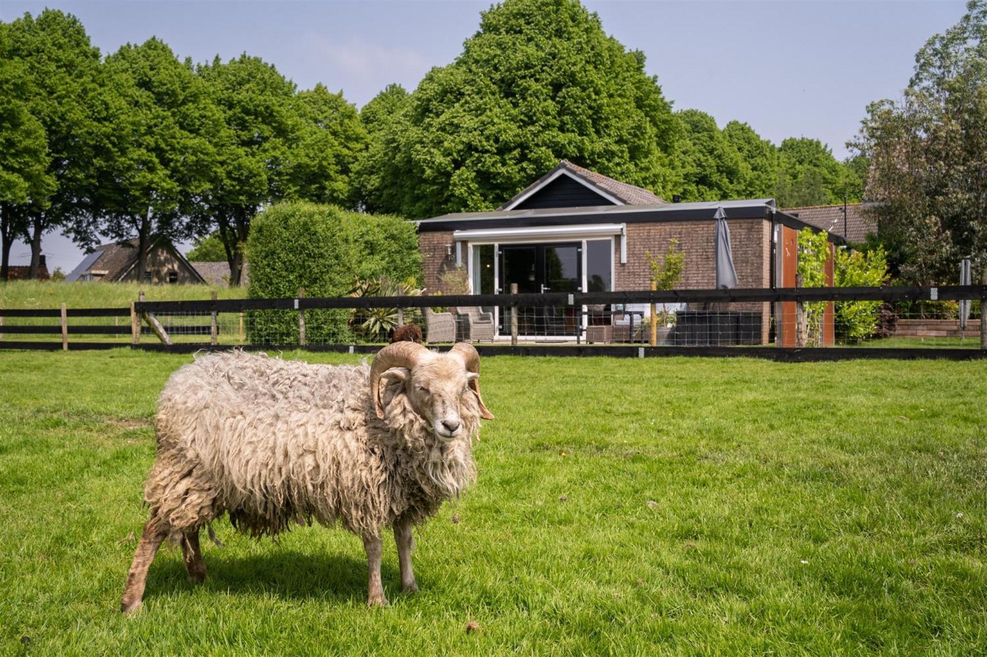Vakantiewoning Le Garaazje 'S-Gravendeel Buitenkant foto