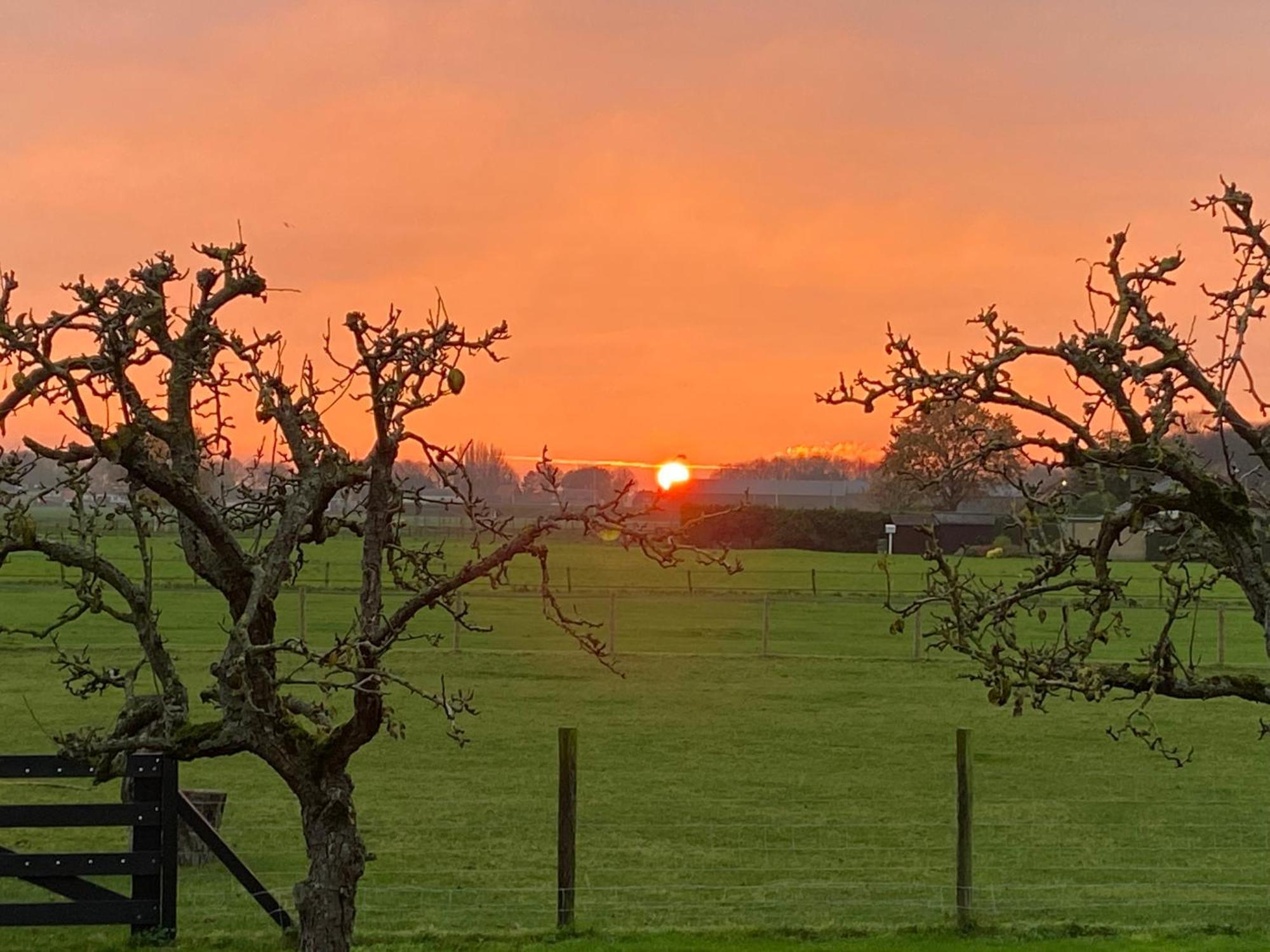 Vakantiewoning Le Garaazje 'S-Gravendeel Buitenkant foto