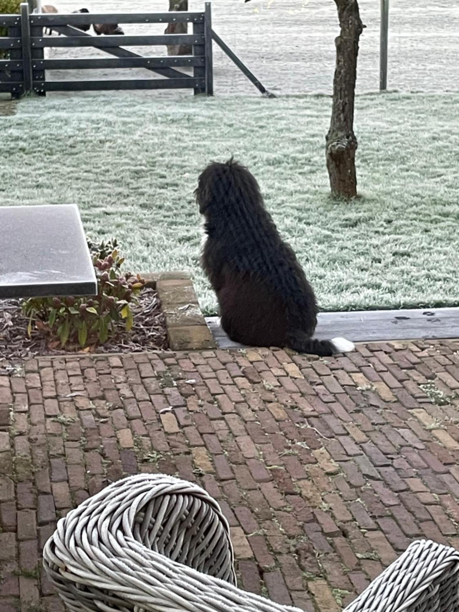 Vakantiewoning Le Garaazje 'S-Gravendeel Buitenkant foto