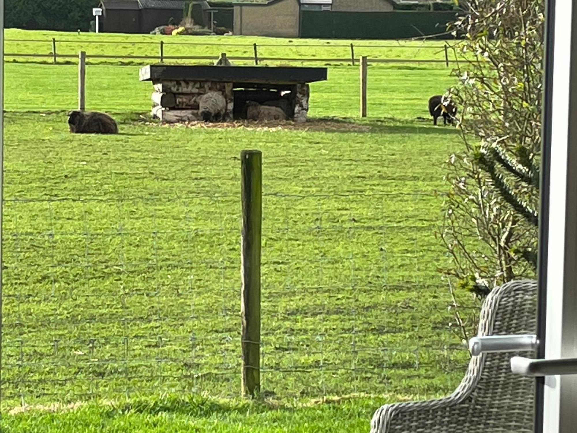 Vakantiewoning Le Garaazje 'S-Gravendeel Buitenkant foto