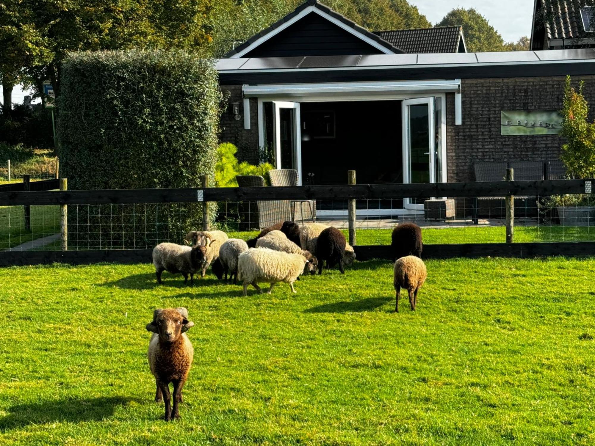Vakantiewoning Le Garaazje 'S-Gravendeel Buitenkant foto