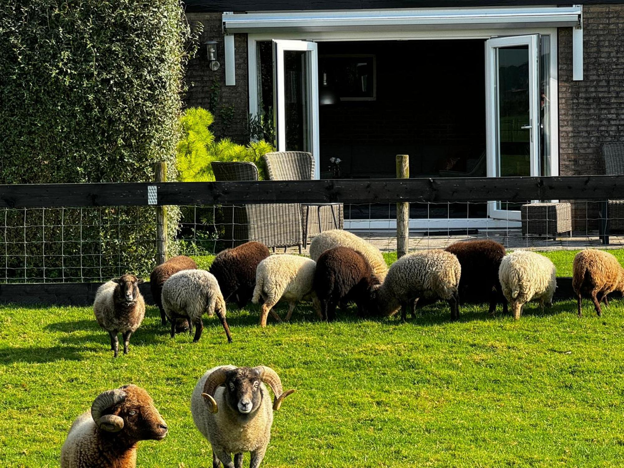 Vakantiewoning Le Garaazje 'S-Gravendeel Buitenkant foto