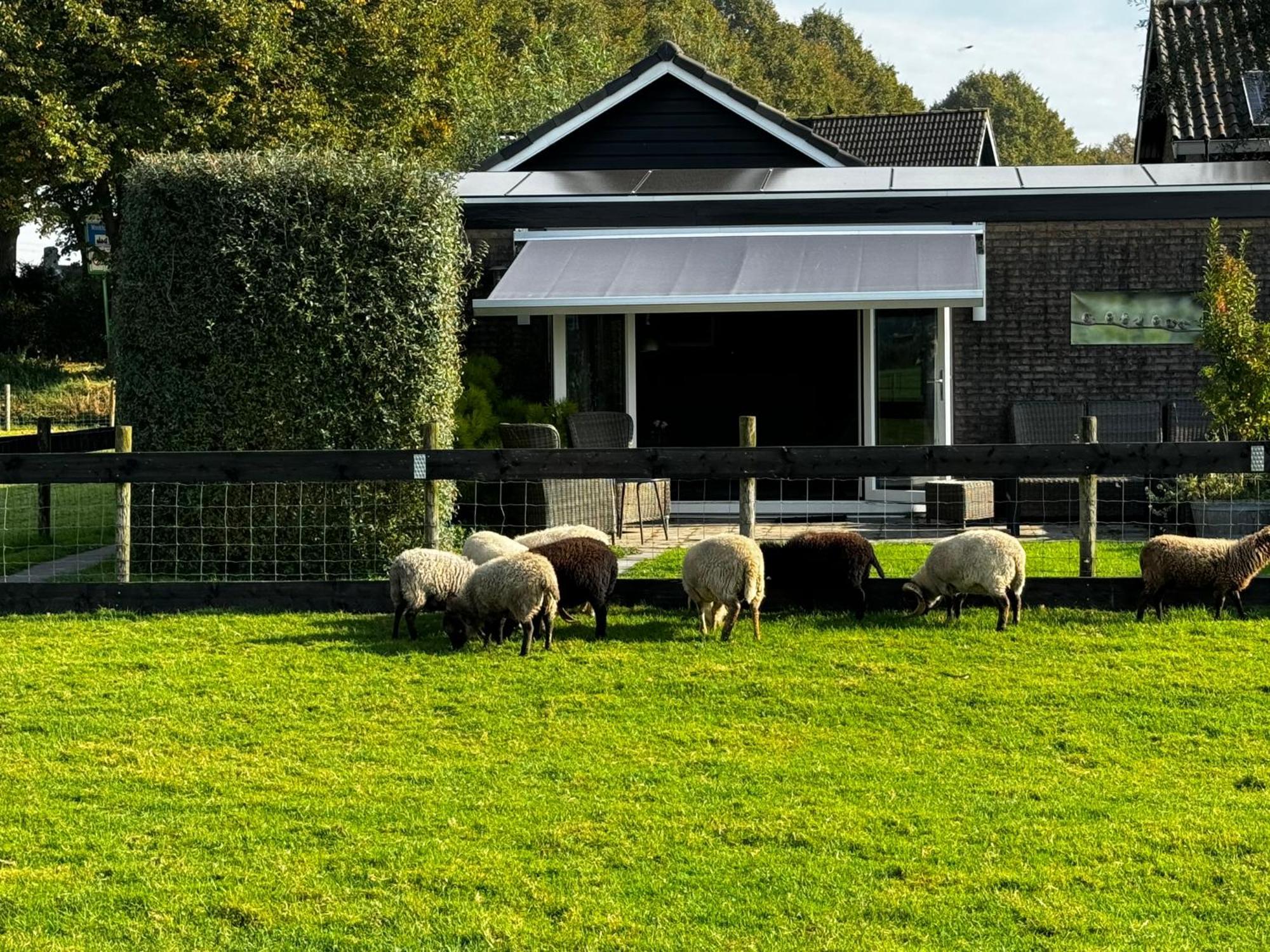 Vakantiewoning Le Garaazje 'S-Gravendeel Buitenkant foto