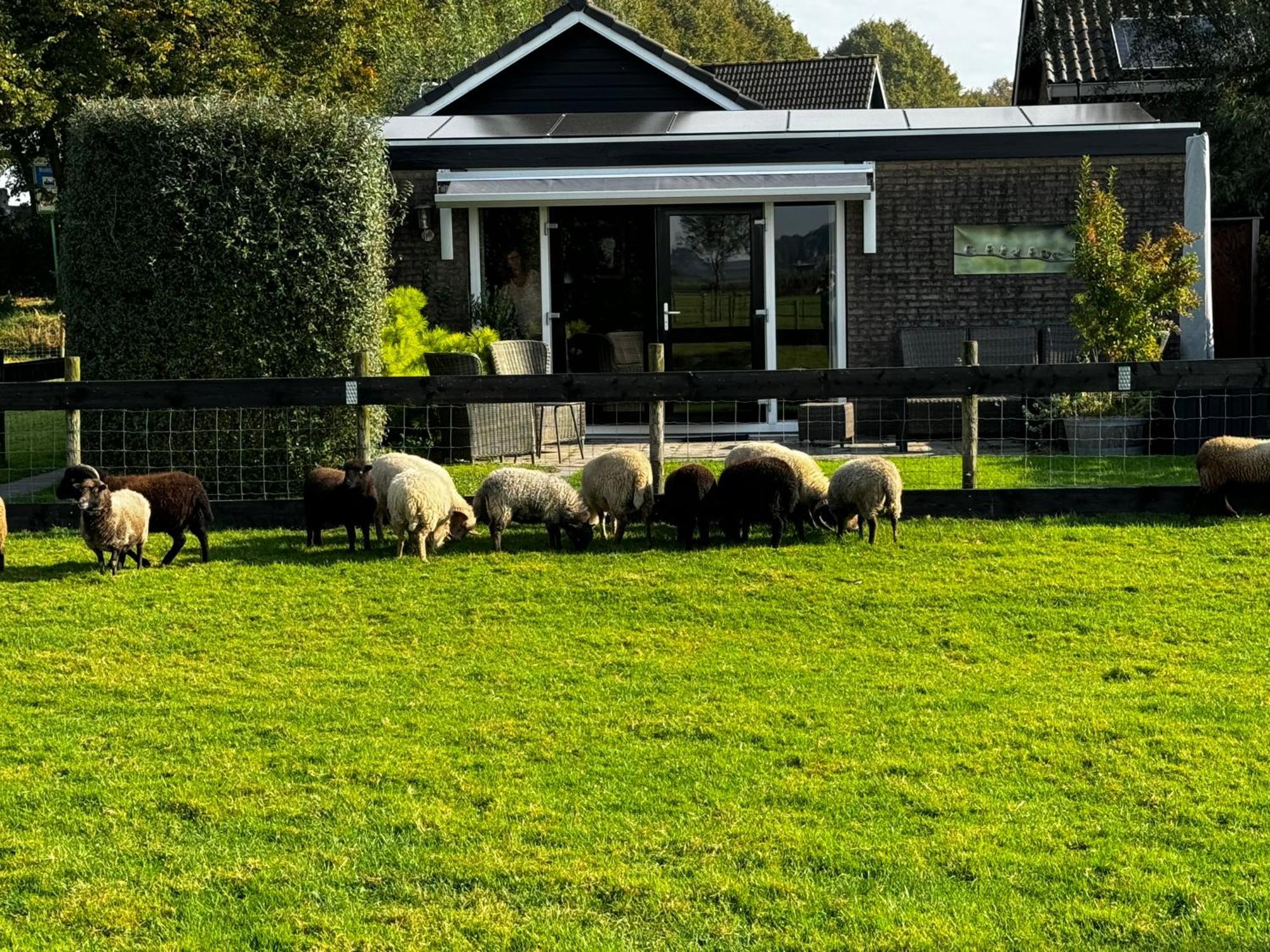 Vakantiewoning Le Garaazje 'S-Gravendeel Buitenkant foto